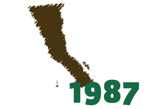 1987