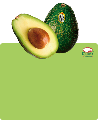 Coliman Avocados