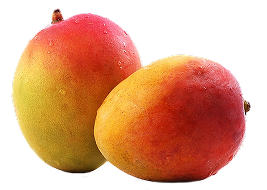 Tropicales
